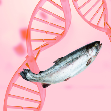 The Role of DNA in Skincare: Why Salmon PDRN is a Breakthrough