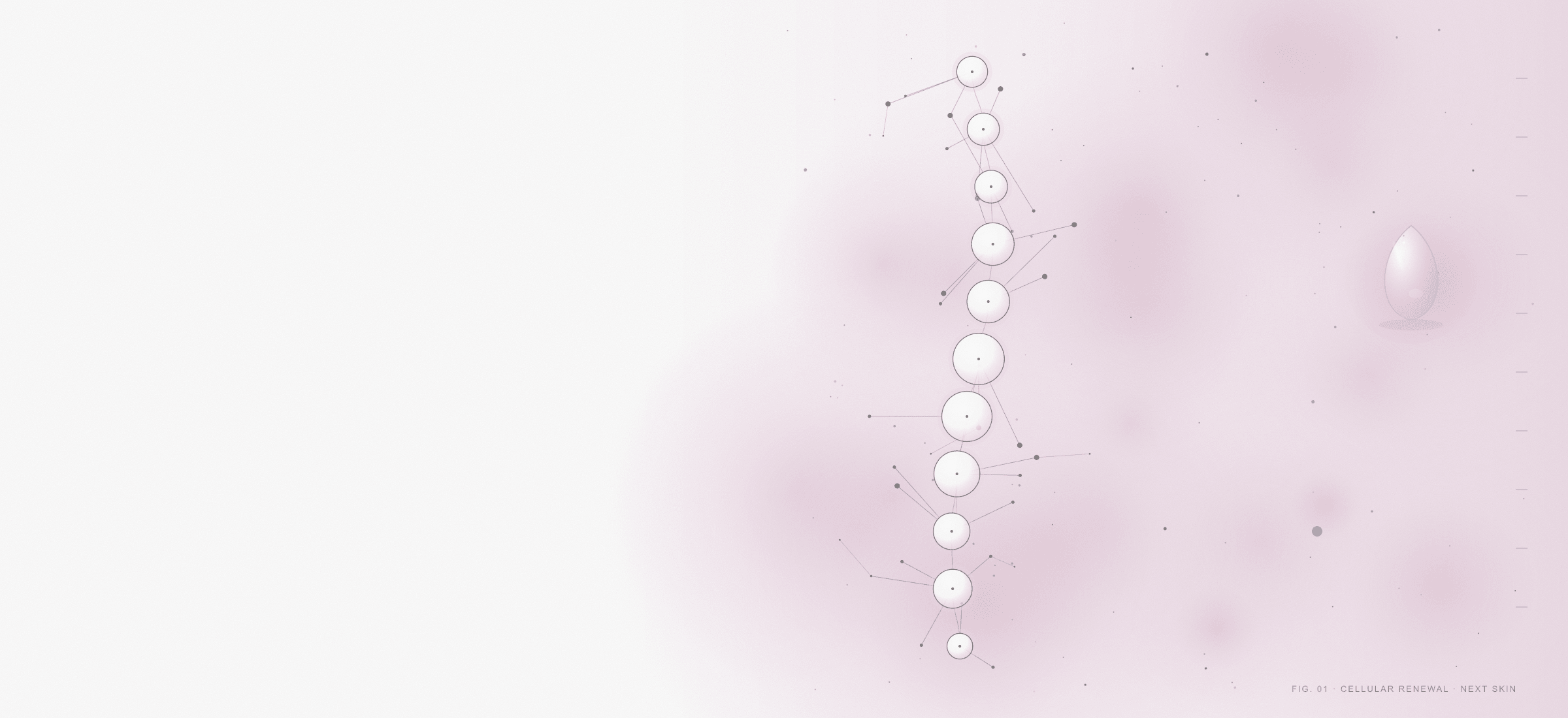Next Skin hero — cellular renewal molecular composition